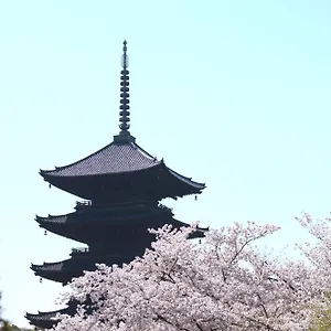 Sakura Tsubaki Kyoto